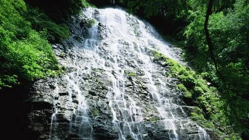 环保环保